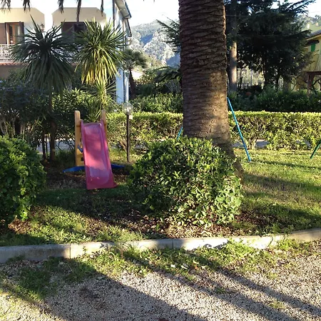 Rosa 3*